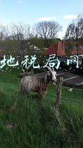 大连市国家税务局网上申报系统(“一键通办”覆盖全市500万缴费人)