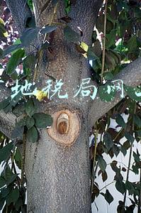 大连税务申报系统(大连电子税务局全新上线)