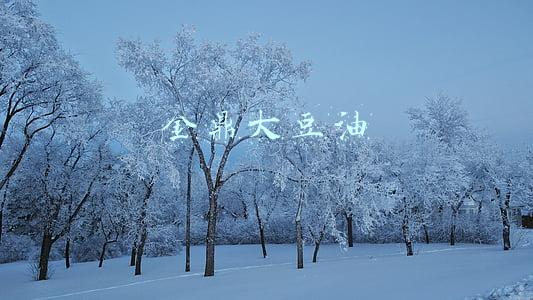 金鼎大豆油图片(安徽省六安市抽检56批次食用油、油脂及其制品 55批次合格)