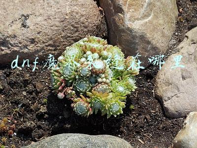 魔界裂缝怎么开(DNF90版本 魔界裂缝到底如何玩呢？)
