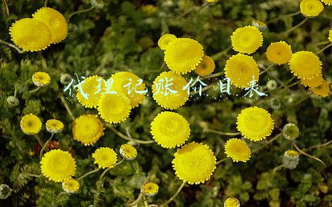 代理记账公司收费表(企业代理记账收费标准)