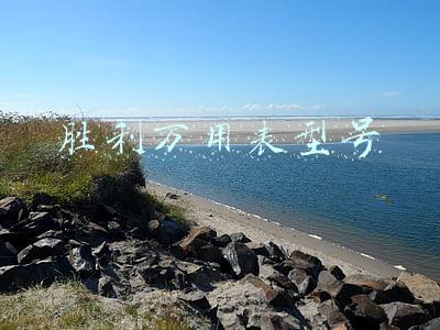 胜利万用表型号大全(万用表维修：胜利万用表电路图，保存到电脑更清晰)