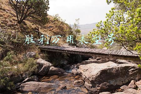 胜利万用表型号与价格批发(家电小哥教你选择和选购万用表)