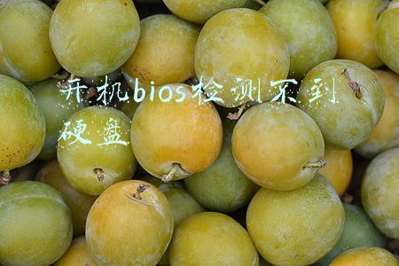 开机bios检测不到硬盘