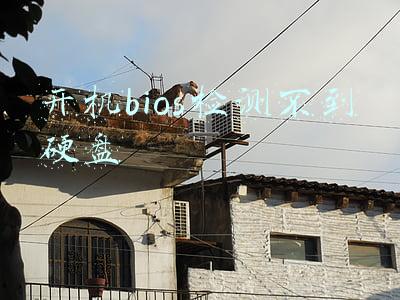 开机bios检测不到硬盘是硬盘坏了吗(电脑检测不到硬盘？元芳，你怎么看？！)
