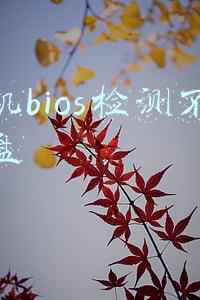 开机bios检测不到硬盘