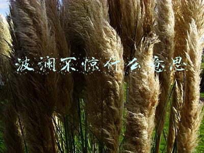 波澜不惊的近义词(「期末复习」人教版四年级语文（下册）知识要点)