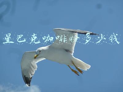 星巴克咖啡粉多少钱