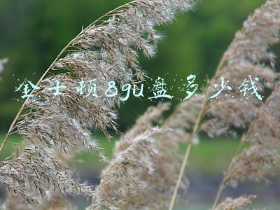 金士顿8gU盘多少钱一个(多色彩、小身材、大容量：金士顿DTIG4 U盘)