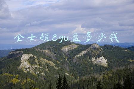 金士顿内存条8g多少钱(内存降价SSD维稳，假期前后适合入手)