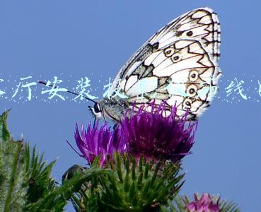 客厅安装投影仪布线图