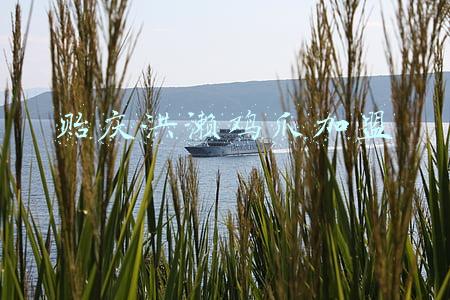 贻庆洪濑鸡爪加盟
