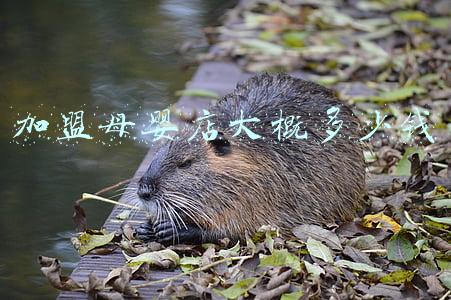 母婴店塑料袋 母婴店袋子