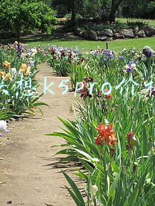 联想k5s价格(0.09秒指纹解锁 联想新机K5S发布：798元也有Type-C)