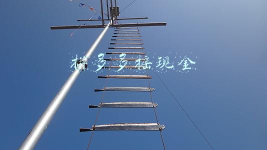 拼多多摇现金