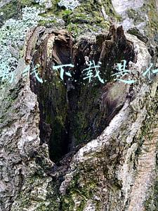迅雷取回本地什么意思(《迅雷云盘》下载资源保存位置)
