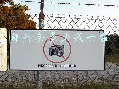 自行车多少钱一台 自行车多少钱一台