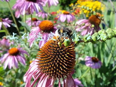 win10上传速度慢怎么办(Win10系统网速慢怎么办？)