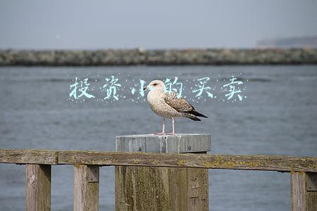 投资小的买卖有哪些(涨知识：国际流行的，10个可以帮你省钱的小工具)