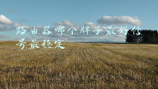 路由器哪个牌子最好信号最稳定