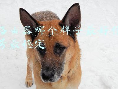 路由器哪个牌子最好信号最稳定