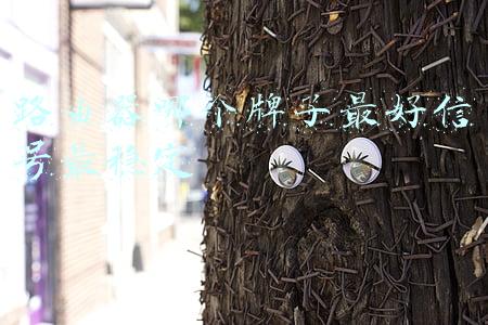 路由器哪个牌子最好信号最稳定