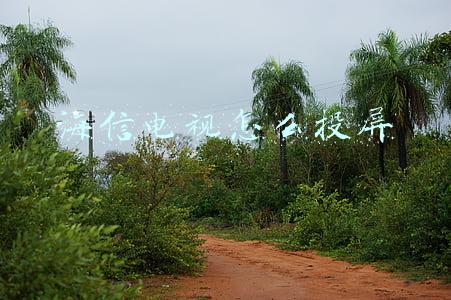 海信电视怎么投屏