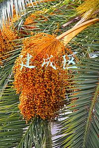 建成区和城区区别(市和市区，县和县城，镇和集镇，你分得清吗？)