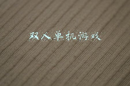 steam双人单机游戏(Steam平台五款永远都玩不够的经典多人游戏)