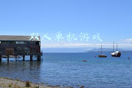 双人单机游戏pc(自古红蓝出CP《双人游戏》汇聚诸多游戏上演单机大对抗)