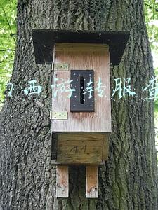 梦幻西游转服查询