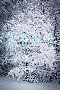 天猫女装店卖多少钱;女装天猫店铺大概要多少钱