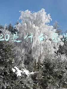 g20是什么意思 g20是什么意思