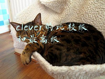 clever的比较级和最高级