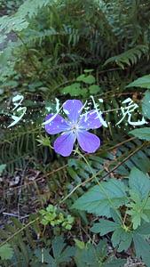 京东多少钱免运费