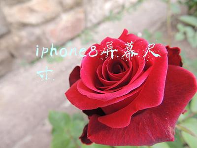 iphone8屏幕尺寸长宽(超实用备用机原来是iPhone8，799元入手性价比真高)