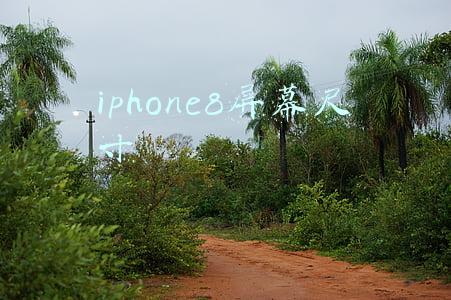 iphone8屏幕尺寸