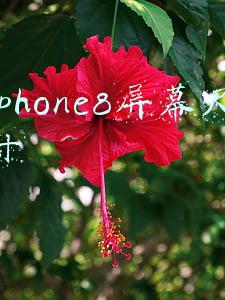 iphone8屏幕尺寸
