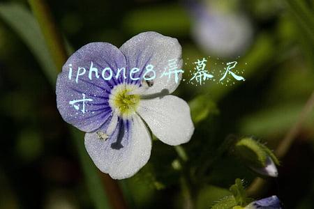 iphone8屏幕尺寸