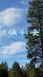 t恤衫女纯棉(年轻妈妈秋天穿这几款长袖棉质T恤衫，遮肉减龄，提升女人味)