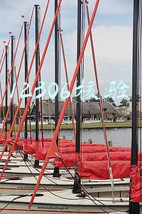 12306核验怎么弄(小编带你走进12306：身份核验状态为待核验或未通过怎么办？)
