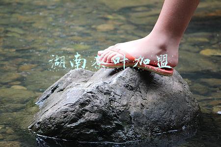 湖南茶叶集团(2021年湖南茶业综合产值达到1012亿元 系首破千亿)