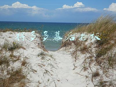 正威集团幕后老板是胡(广东最大的制造业公司，一年入账6189亿，背后老板是安徽首富)