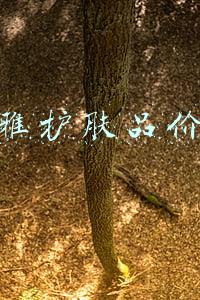 欧莱雅所有产品价格表图(买到就是“贵到”，欧莱雅错在哪？)