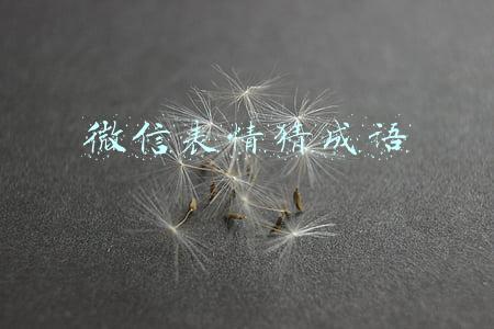 微信表情猜成语