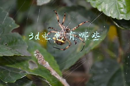 2022年上映的3d电影有哪些(电影《我是霸王龙》福虎迎春 新春贺岁 2022即将上映)