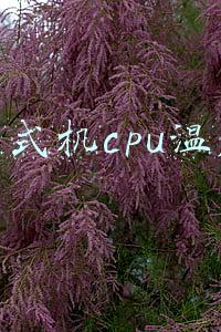 台式机cpu温度