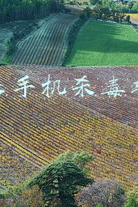 苹果手机杀毒软件排行(App Store年度精选！8个iPhone必装的APP，超级实用)