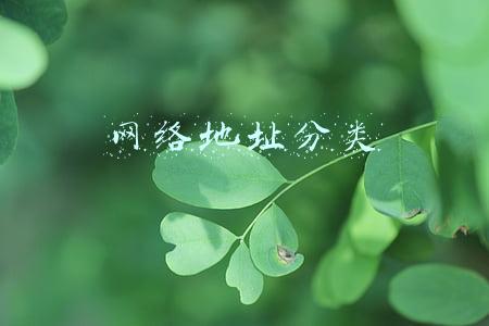 网络地址分类