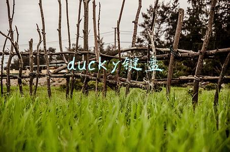 ducky键盘